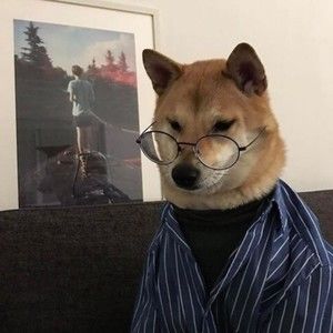 Meet your Posher, Jillian